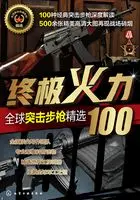 因为想秒杀所以全点攻击