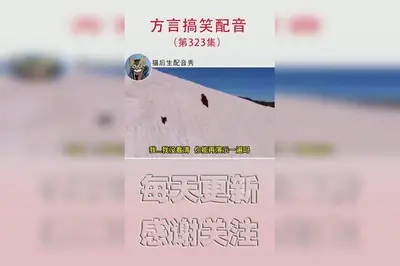 干了这碗鸡汤