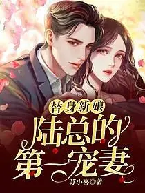 头号追妻令：陆先生劫个婚