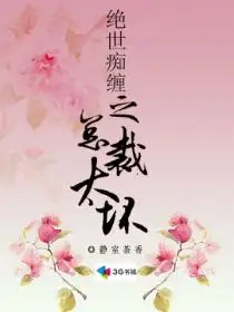 绝世痴缠之总裁太坏